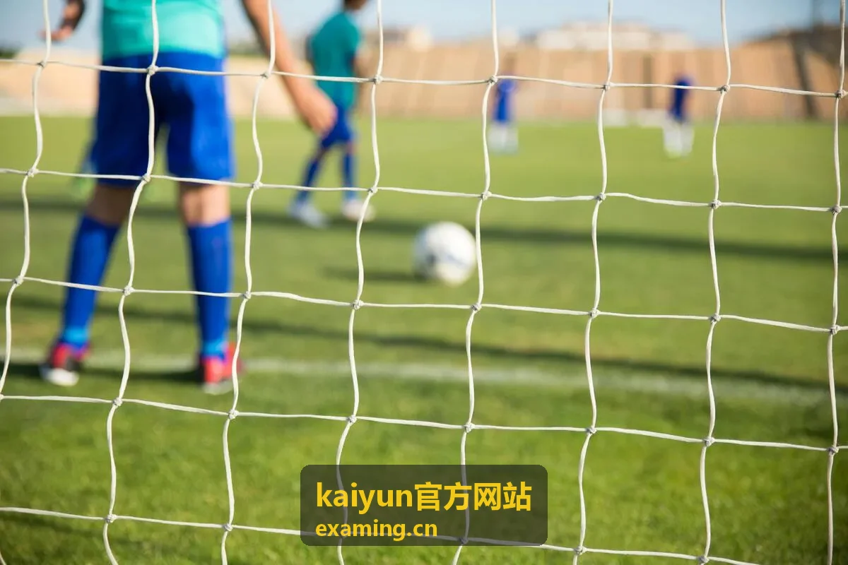 kaiyun官方网站内容栏目分类展示配图