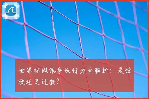 世界杯佩佩争议行为全解析：是强硬还是过激？