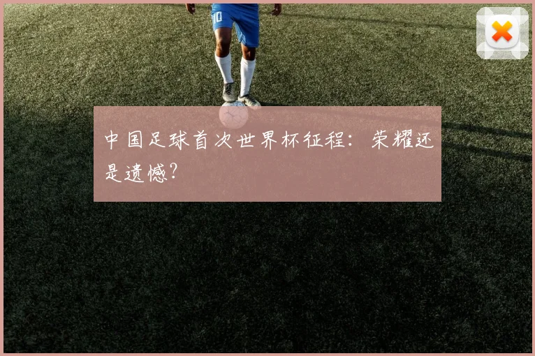中国足球首次世界杯征程：荣耀还是遗憾？