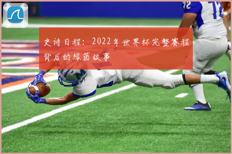 史诗日程：2022年世界杯完整赛程背后的绿茵故事