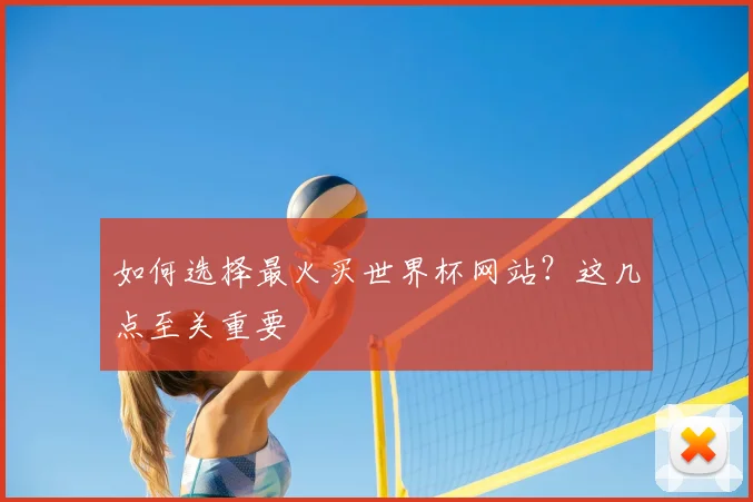 如何选择最火买世界杯网站？这几点至关重要