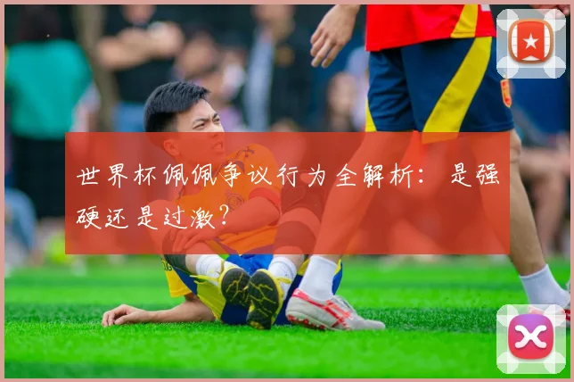 世界杯佩佩争议行为全解析:是强硬还是过激?