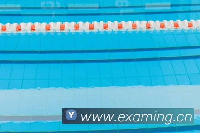 多媒体互动体验